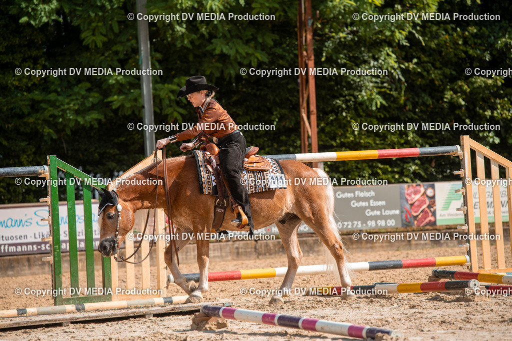 ZS3_9268 | dv-media-shop - Realisiert mit Pictrs.com