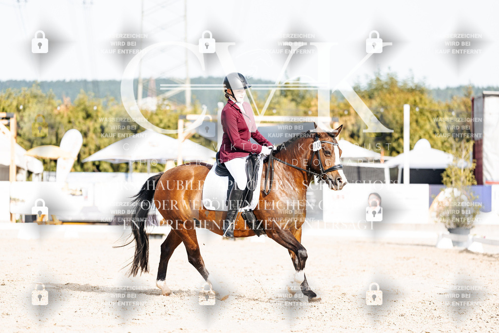 CK904912 | Turnierfotografie Pferdefotografie Trier Rheinland-Pfalz Pferdesport Reitsport Tierfotografie Sportfotografie Pferdevideo Pferdevideografie Equestrianvideography equestrianphotography  - Realisiert mit Pictrs.com