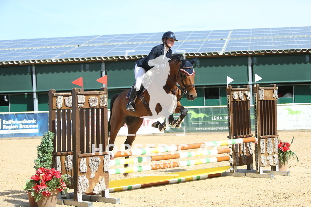 DL2Q1230 | Willkommen bei Brunnmayr - Design & Fotografie – Ihrem Spezialisten für Reitturniere und Pferdeveranstaltungen in Oberösterreich, Salzburg und Bayern! Seit über 17 Jahren sind wir leidenschaftlich dabei.