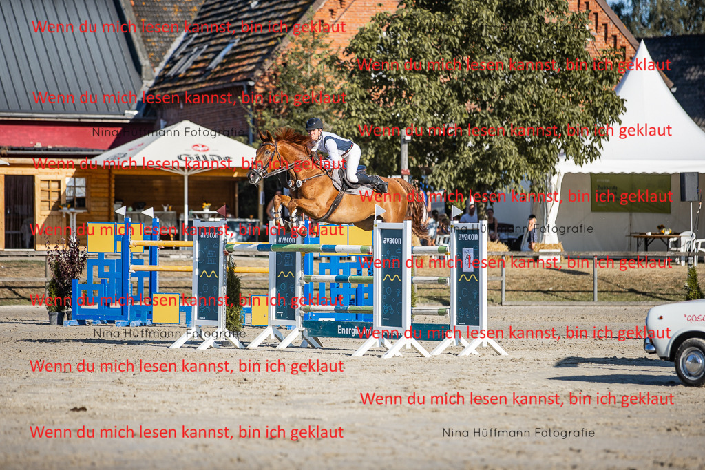 BK1A8722 | Turnierbilder Turnierfotos Nina Hüffmann Turnierfotografie Pferdefotografie Tierzeichnung Haustierzeichnung Pferdezeichnung Hundezeichnung Videograf  - Realisiert mit Pictrs.com