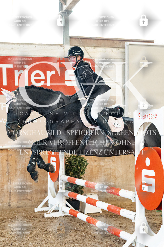 CK904496 | Turnierfotografie Pferdefotografie Trier Rheinland-Pfalz Pferdesport Reitsport Tierfotografie Sportfotografie Pferdevideo Pferdevideografie Equestrianvideography equestrianphotography  - Realized with Pictrs.com