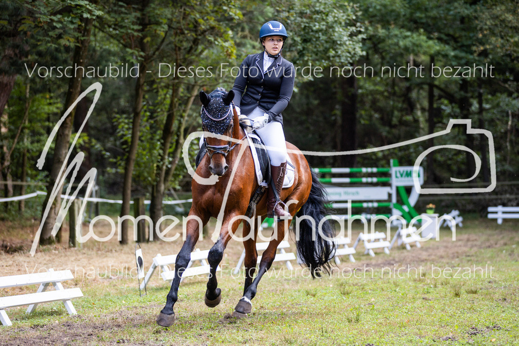 HB-Dressur-WB-032 | MomenTaufnahmen Pferdesportfotos