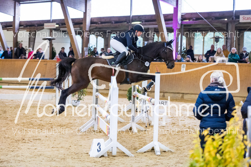 Sth-A-Spr.m.st.A.-009 | MomenTaufnahmen Pferdesportfotos