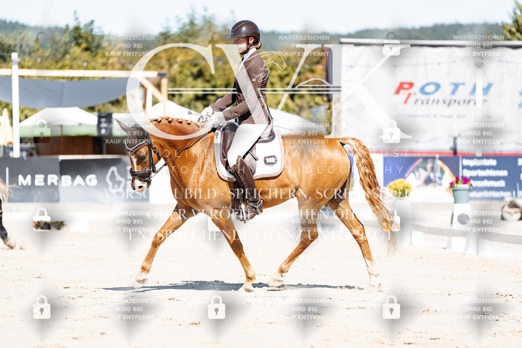 CK909019 | Turnierfotografie Pferdefotografie Trier Rheinland-Pfalz Pferdesport Reitsport Tierfotografie Sportfotografie Pferdevideo Pferdevideografie Equestrianvideography equestrianphotography  - Realisiert mit Pictrs.com