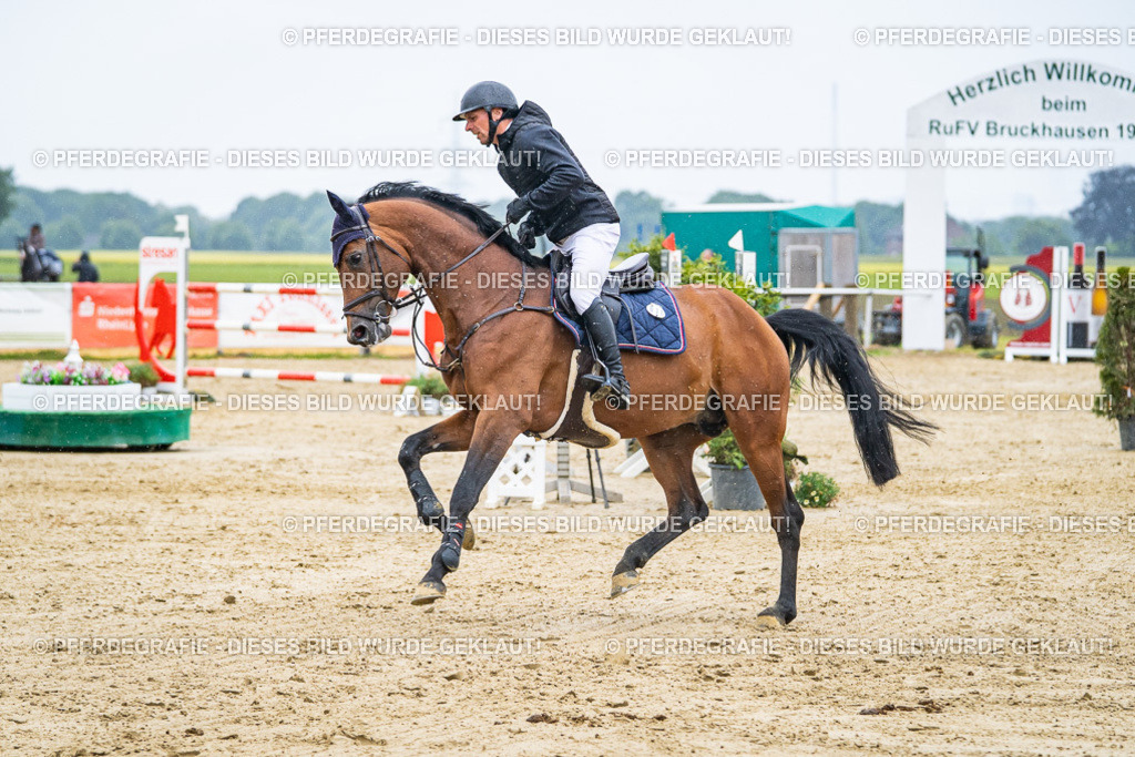 DSC09655 | Pferdegrafie