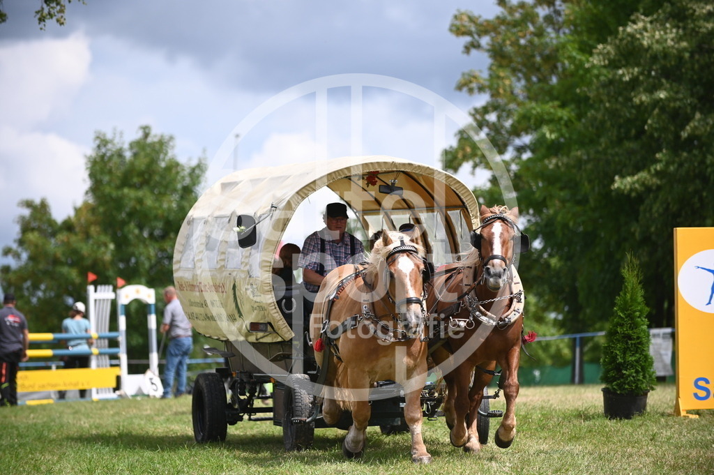 DSC_6916 | sattelsport - Realisiert mit Pictrs.com