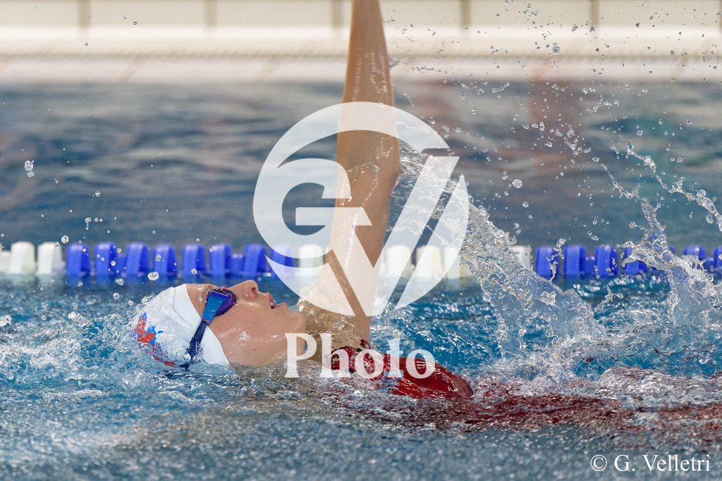 DSC_0345 | Velletri Photo