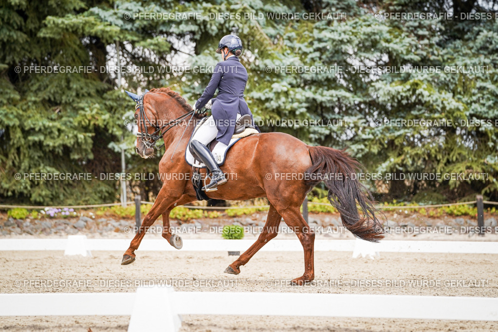 DSC05939 | Pferdegrafie