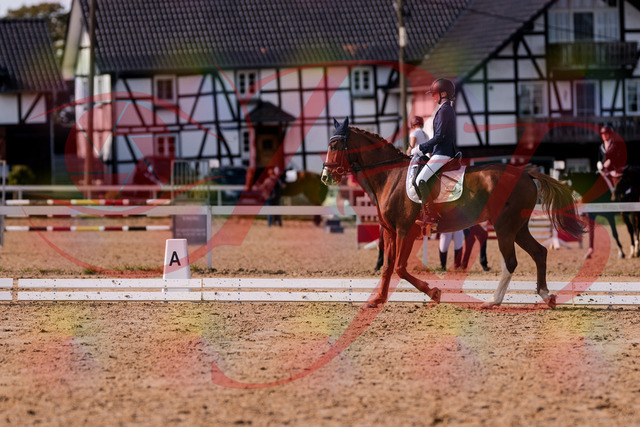 2026_10_03_Siefer-Hof_133145_Z81_86320773 | Professionelle Reitsport-, Turnier- und Eventfotografie von Robert Broda. Galerien mit ausgewählten und bearbeiteten Bildern direkt online ansehen und bestellen.