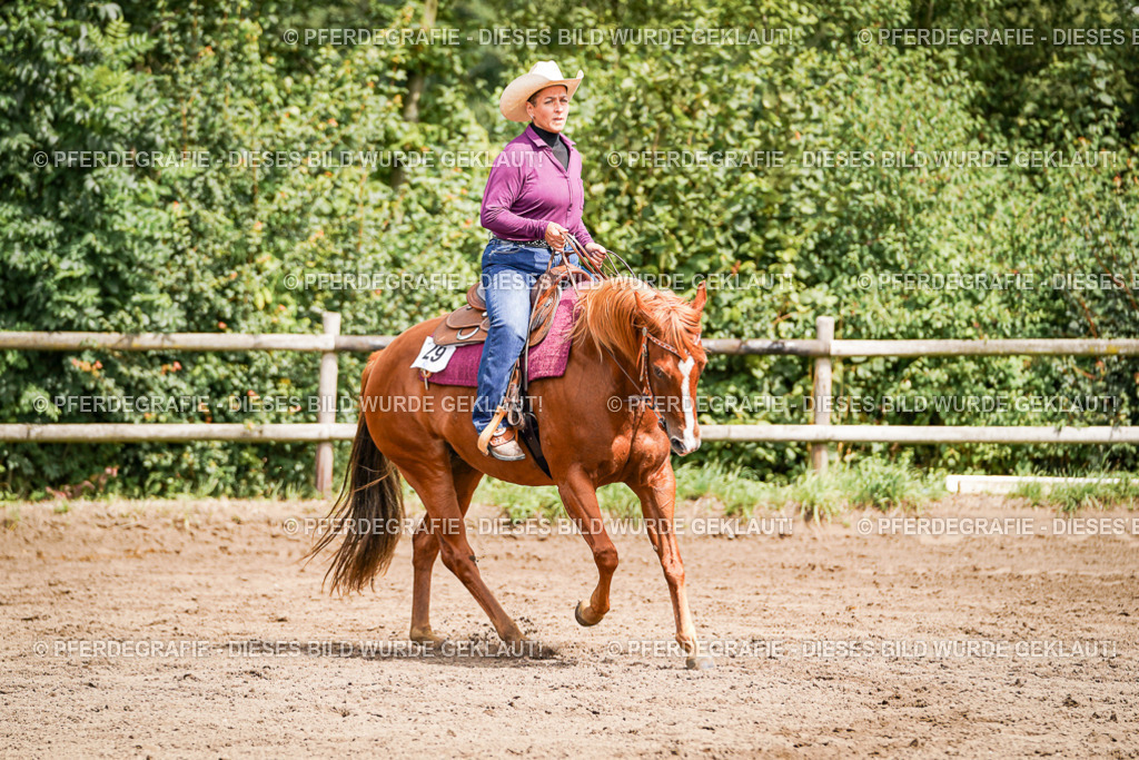 DSC07101 | Pferdegrafie