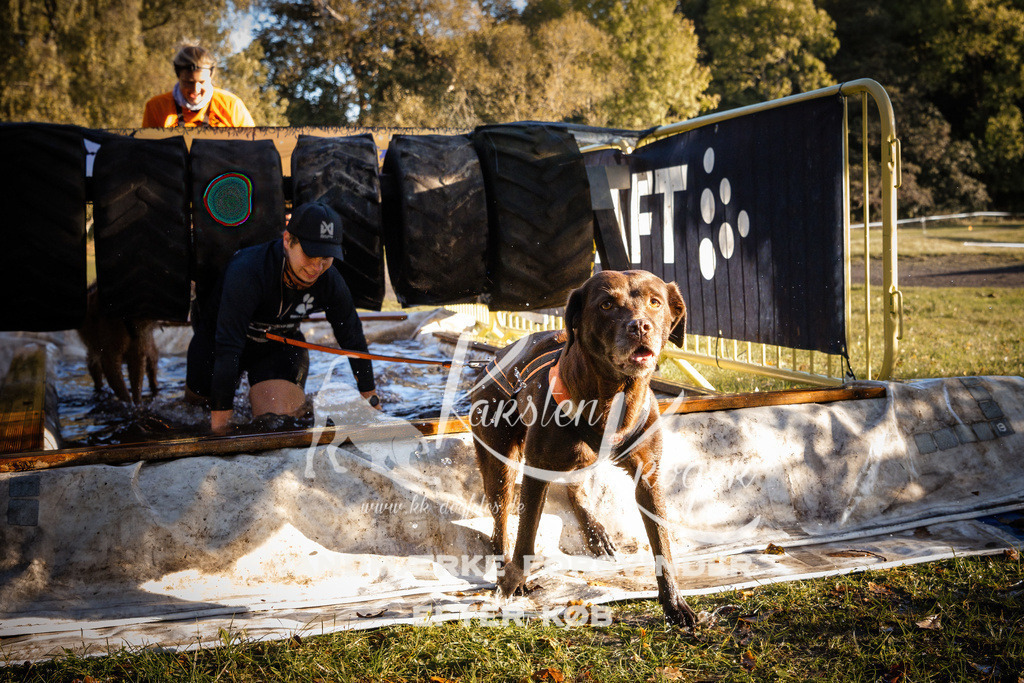0927_ZZ91061 | kk-dogfotos