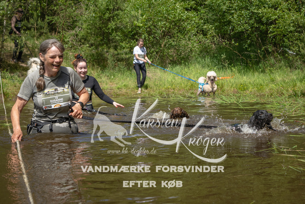 1216DKK992419 | kk-dogfotos