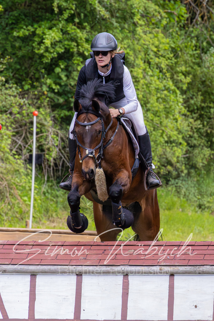 MBFotografie (93) | Tierfotografie Pferde, Hunde, Katzen, Haustiere.
Turnierfotografie Reitturniere, Reiten, Springreiten, Dressur in Hanau, dem Main-Kinzig-Kreis und dem Rhein-Main- Gebiet um Frankfurt