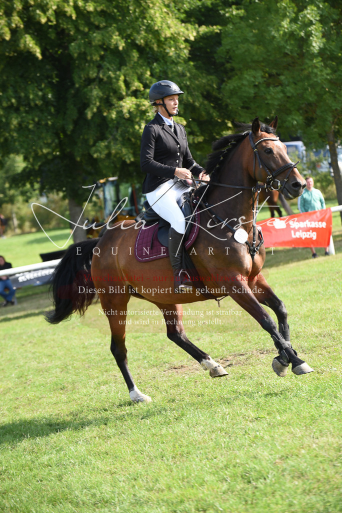 DSC_8688 | Pferde- und Turnierfotografie in Westsachsen. Pferdeportraits, Auftragszeichnungen und intuitive Kunst.