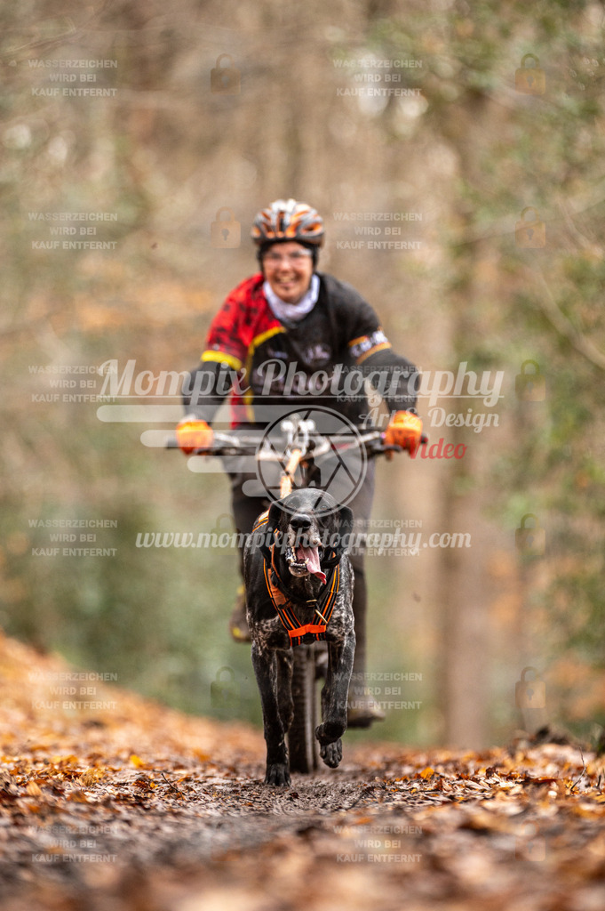 SPA_2023_DIM_Bike-101 | PayLife