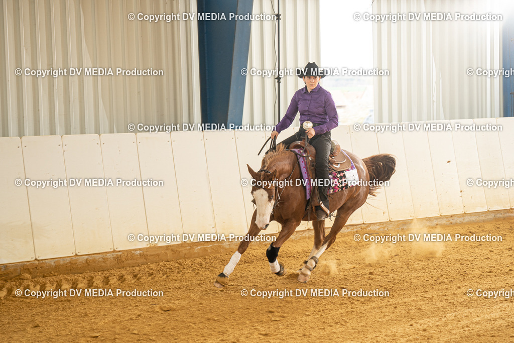 MIT00362 | dv-media-shop - Realisiert mit Pictrs.com