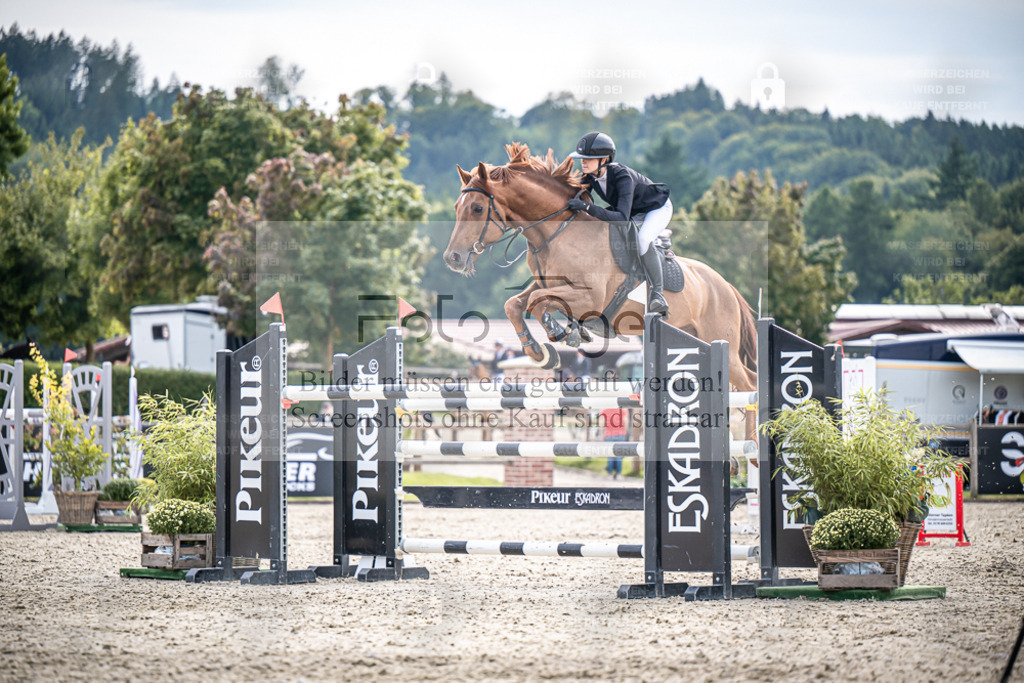 DOS_2542 | Entdecke hochwertige Reitturnierfotos von Foto Oger. Professionell, emotional und authentisch – jetzt Lieblingsmomente im Shop bestellen. - Realisiert mit Pictrs.com