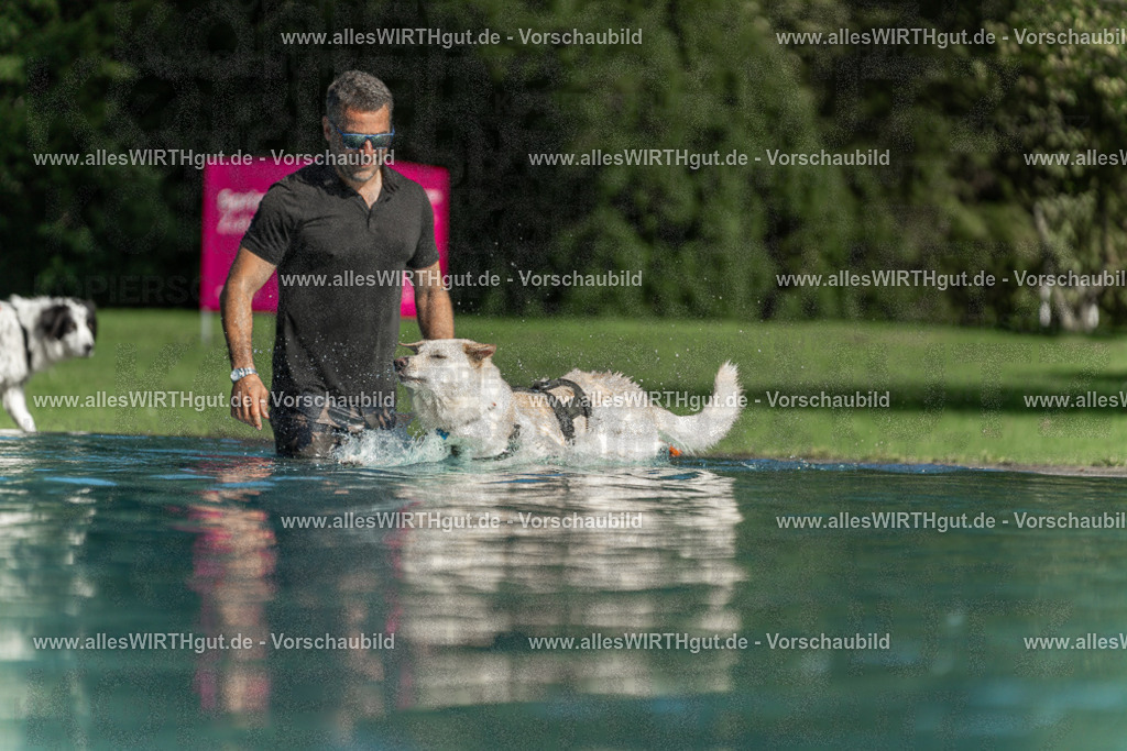 Hundeschwimmen_Volksbad_2026-allesWIRTHgut_Tierfotografie-2609061552-7R502009 | Professionelle Tierfotografie in Mönchengladbach von Daniel Wirth (allesWIRTHgut). Liebevolle & natürliche Bilder von Hunden & Katzen für unvergessliche Erinnerungen.