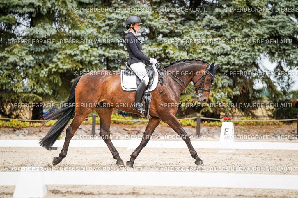 DSC05897 | Pferdegrafie