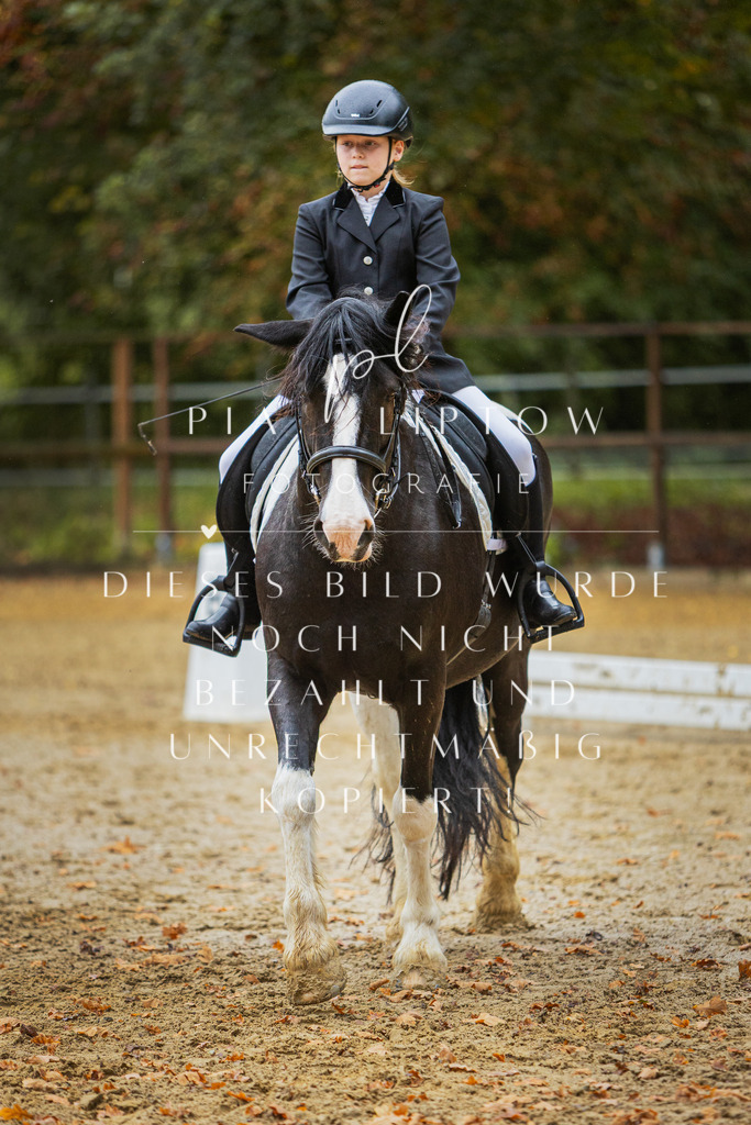 IMGM9650 | pl-fotografie