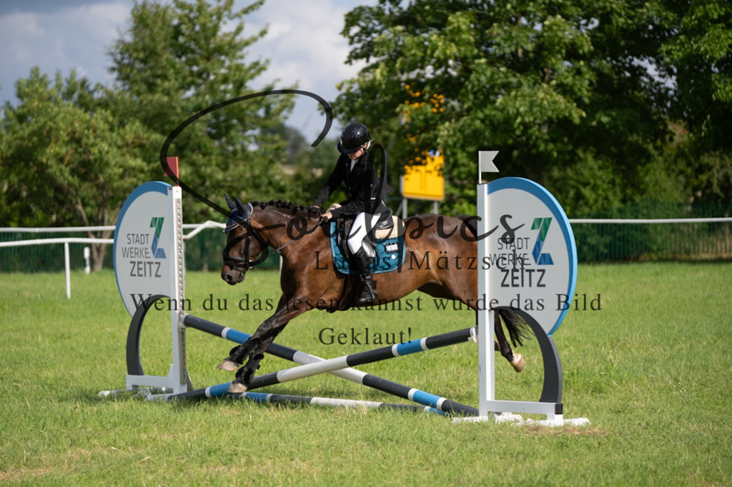 A7V03540 | Pferdefotograf