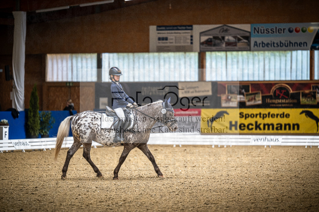 DOS_0694 | Entdecke hochwertige Reitturnierfotos von Foto Oger. Professionell, emotional und authentisch – jetzt Lieblingsmomente im Shop bestellen.Deutschlandweite Turnierfotografie. - Realisiert mit Pictrs.com