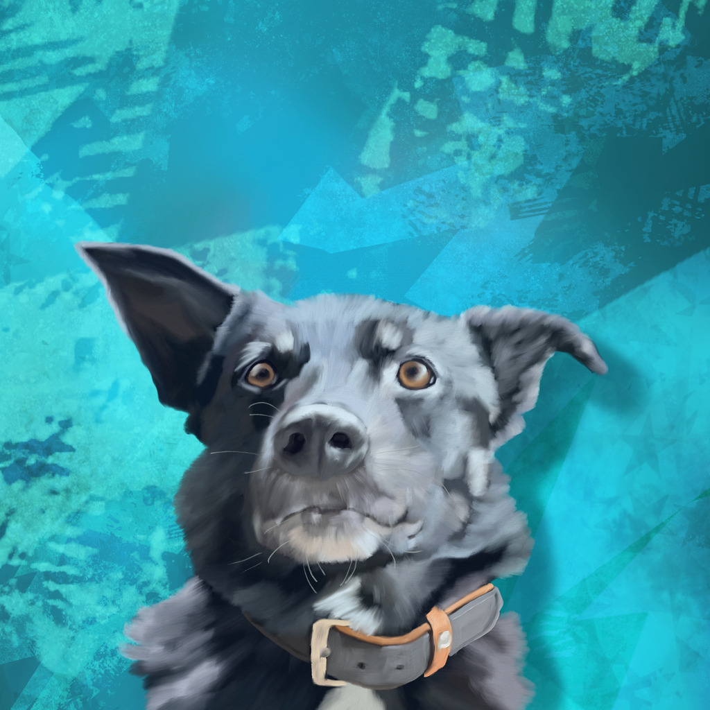 Paddy | Illustrationen, digitalpainting, animals, dogs, hunde, art, Kunst, Illustrationsart, Bielefeld, Germany - Realisiert mit Pictrs.com