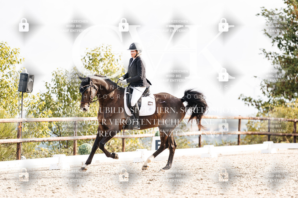CK901265 | Turnierfotografie Pferdefotografie Trier Rheinland-Pfalz Pferdesport Reitsport Tierfotografie Sportfotografie Pferdevideo Pferdevideografie Equestrianvideography equestrianphotography  - Realisiert mit Pictrs.com