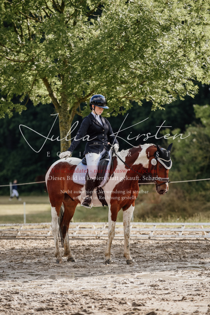 DSC_8717 | Pferde- und Turnierfotografie in Westsachsen. Pferdeportraits, Auftragszeichnungen und intuitive Kunst.