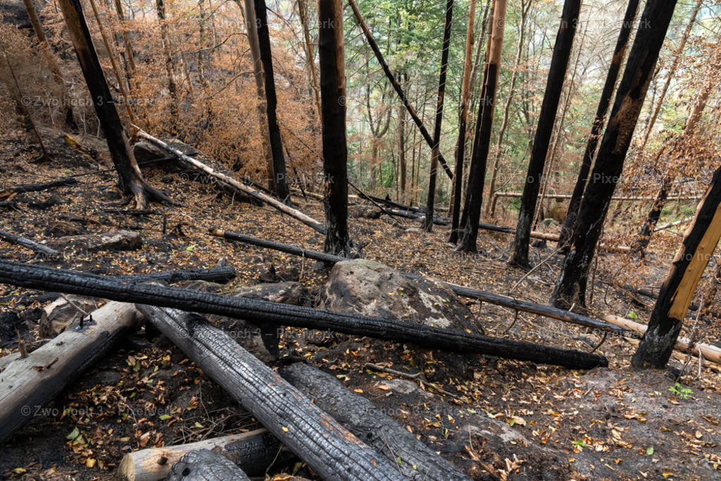 Obere_Affensteinpromenade_Nahe_Ruebezahlturm_Hang_Laub | 2022-09-02_Waldbrandgebiete_2 - Realisiert mit Pictrs.com