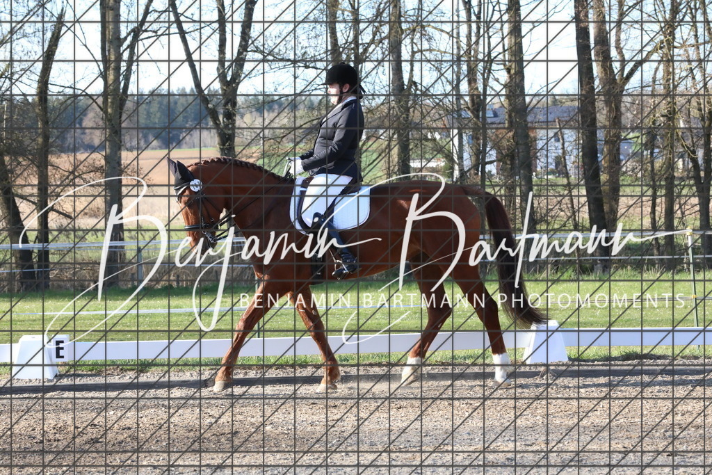 AZ2A5461 | Benjamin Bartmann Photomoments