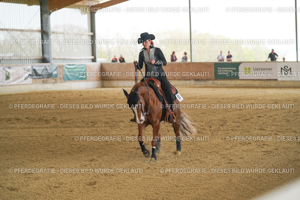 DSC07233 | Pferdegrafie