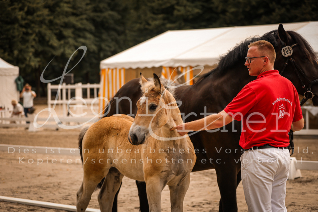 SaSF00027 | Leoni Ertmer Photography - Realisiert mit Pictrs.com