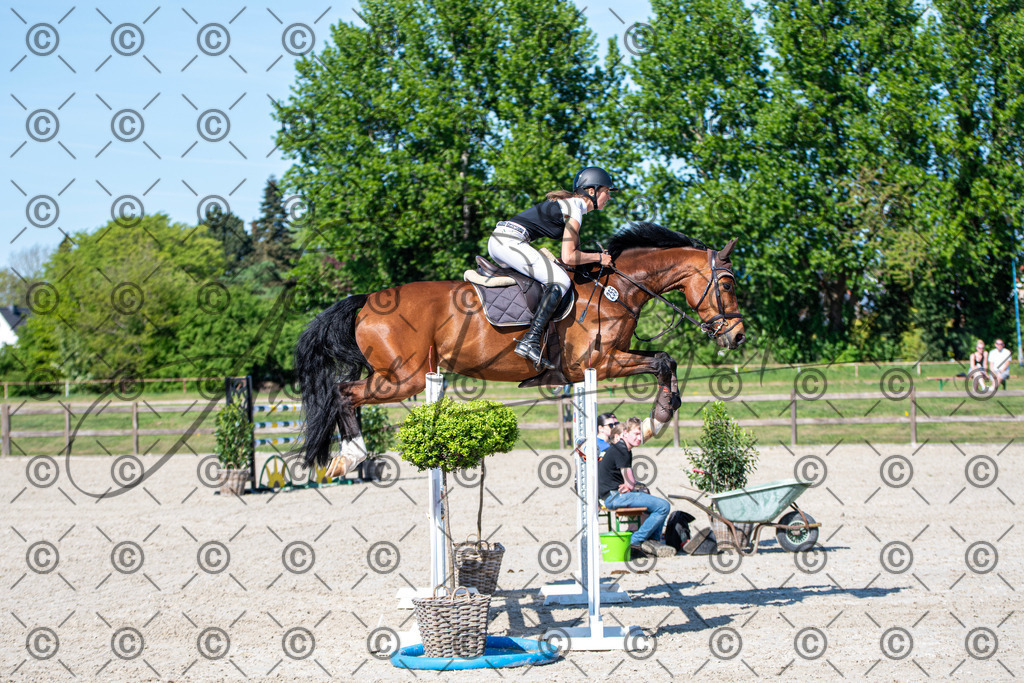 KPT_1567 | andre_photographic