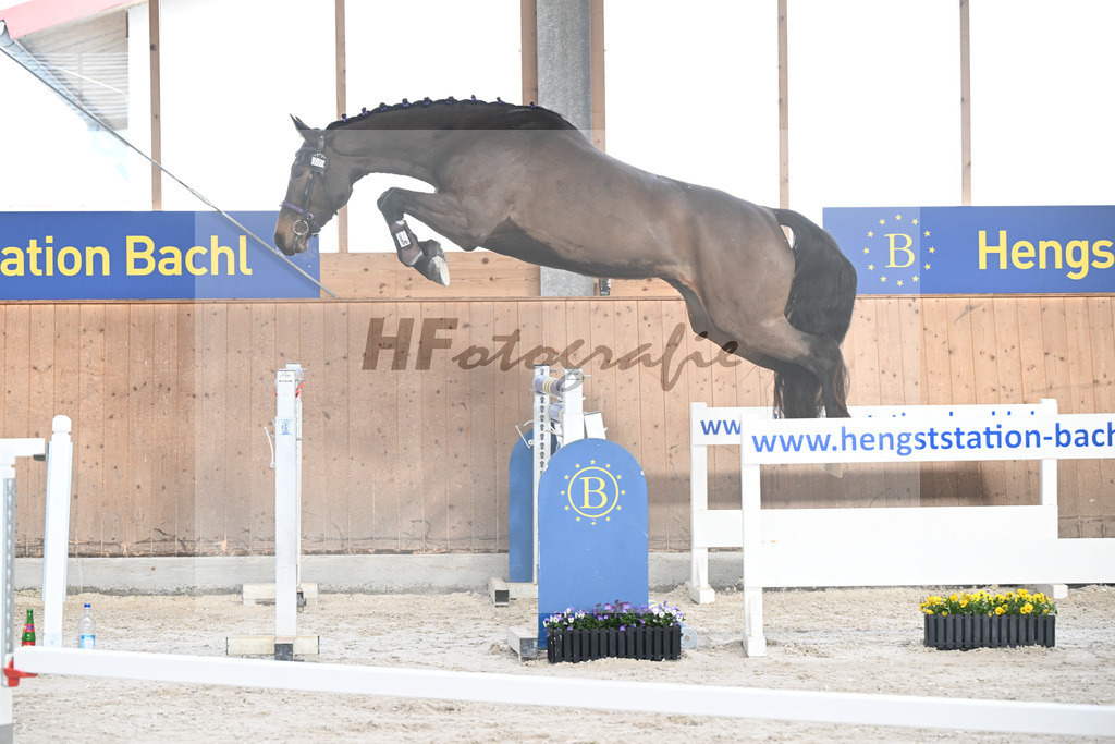 Kat-Nr. 40 Emma von Imhoff v. Cornet Obolensky_Imhoff_5250588 | hf-fotografie - Realisiert mit Pictrs.com