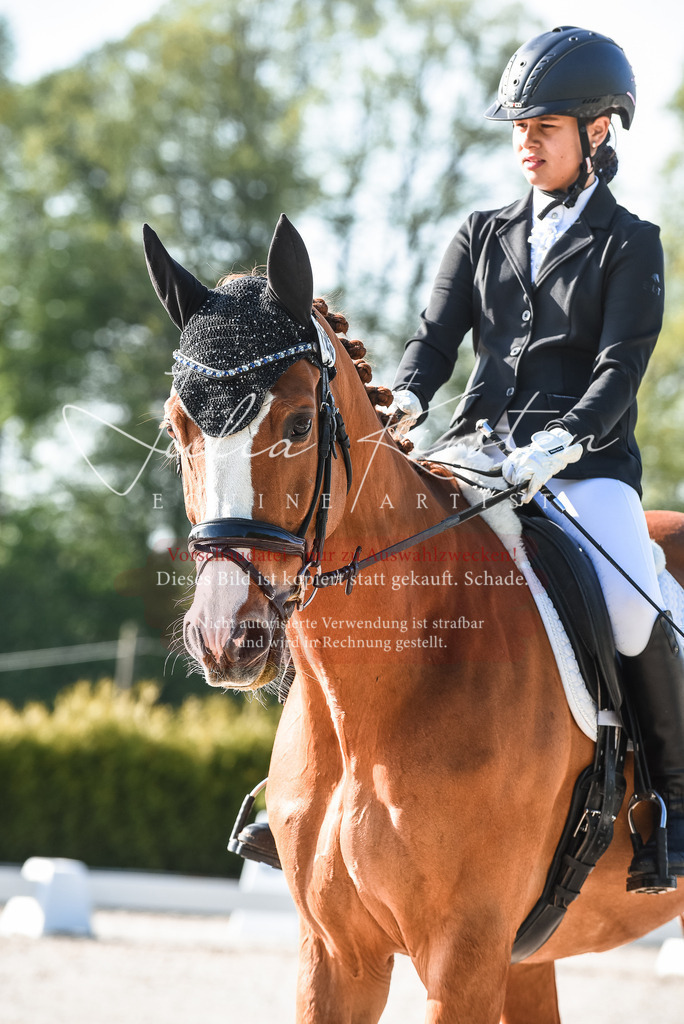 20230518_JK-Röhrsdorf-09-0407 | Pferde- und Turnierfotografie in Westsachsen. Pferdeportraits, Auftragszeichnungen und intuitive Kunst.