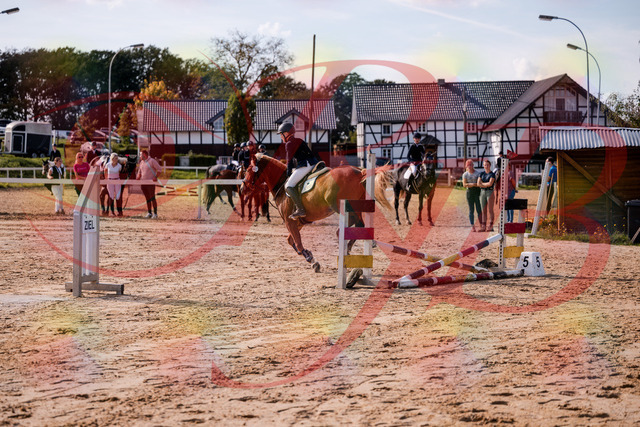 2026_10_03_Siefer-Hof_144728_Z81_24634540 | Professionelle Reitsport-, Turnier- und Eventfotografie von Robert Broda. Galerien mit ausgewählten und bearbeiteten Bildern direkt online ansehen und bestellen.