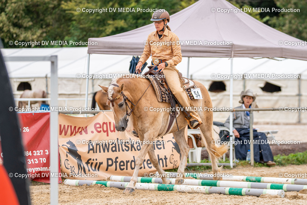 LM Heiligenwald Tag 3-929 | dv-media-shop - Realisiert mit Pictrs.com