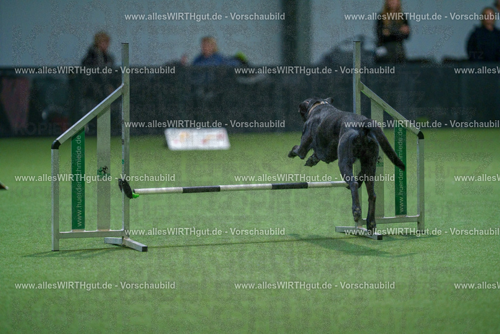 7R502438 | Professionelle Tierfotografie in Mönchengladbach von Daniel Wirth (allesWIRTHgut). Liebevolle & natürliche Bilder von Hunden & Katzen für unvergessliche Erinnerungen.