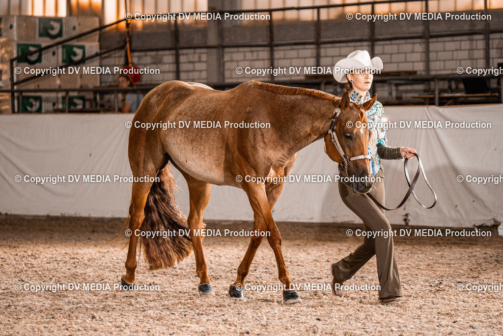 ZH100197 | dv-media-shop - Realisiert mit Pictrs.com