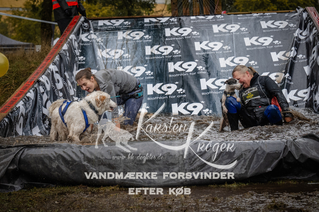 1204_ZZ94299 | kk-dogfotos