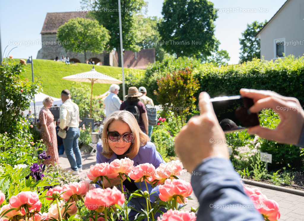 DSC_7503 | ble, 10.05.2025, Frühlingsmarkt Lorsch, Pfingstrosengarten,  Bild: Thomas Neu