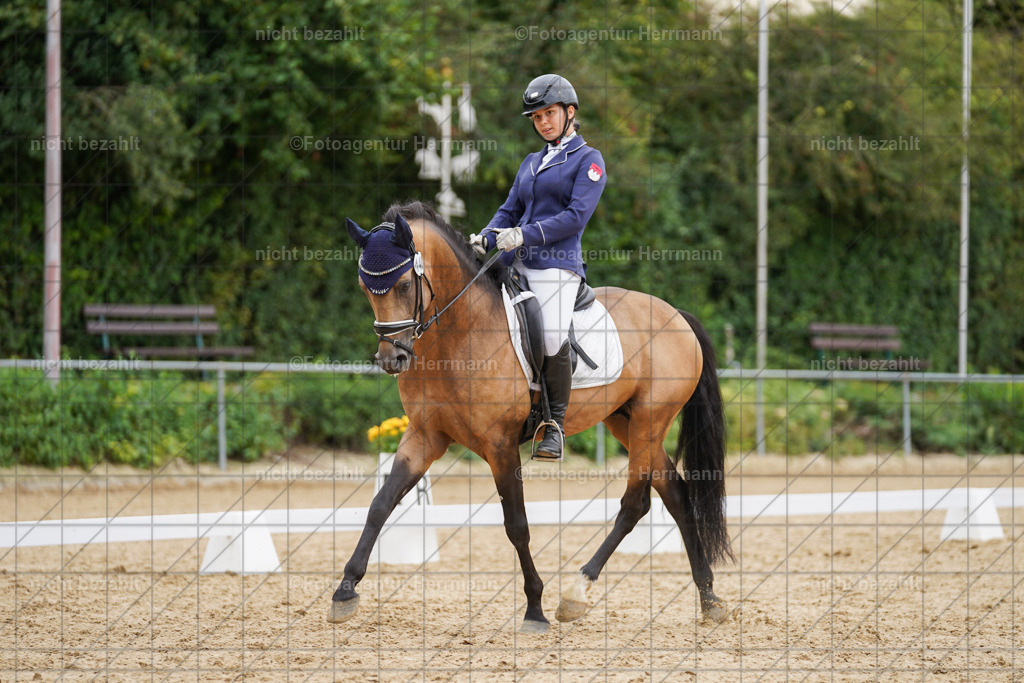 20240825-FAH00065 | Turnierbilder, Reitsportfotos, LAPO, Landesponyturnier, Turnierfotografen Bayern