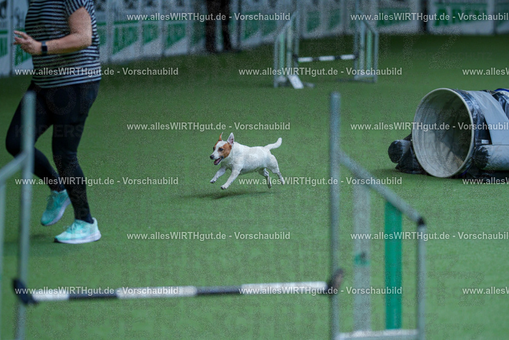 @allesWIRTHgut_Tierfotografie - www.allesWIRTHgut.de - 2604261329-7R501968 | Professionelle Tierfotografie in Mönchengladbach von Daniel Wirth (allesWIRTHgut). Liebevolle & natürliche Bilder von Hunden & Katzen für unvergessliche Erinnerungen.