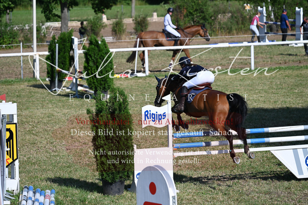 DSC_2446 | Pferde- und Turnierfotografie in Westsachsen. Pferdeportraits, Auftragszeichnungen und intuitive Kunst.