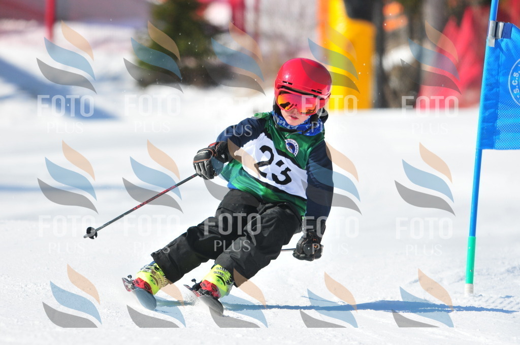 C2552 | holidayphoto