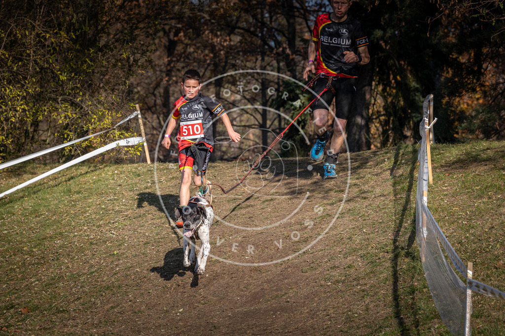 CaniXpix_0L8A8326 | Hundefotografie, Tierfotograf, Pfotenfotografie, Fotoshooting Hund, Hunde Portrait, Hundesport, Hundeportraits, Heideshooting, Hunde, Sportfotograf, Hundefotograf, Turnierhundsport, THS,  - Realisiert mit Pictrs.com