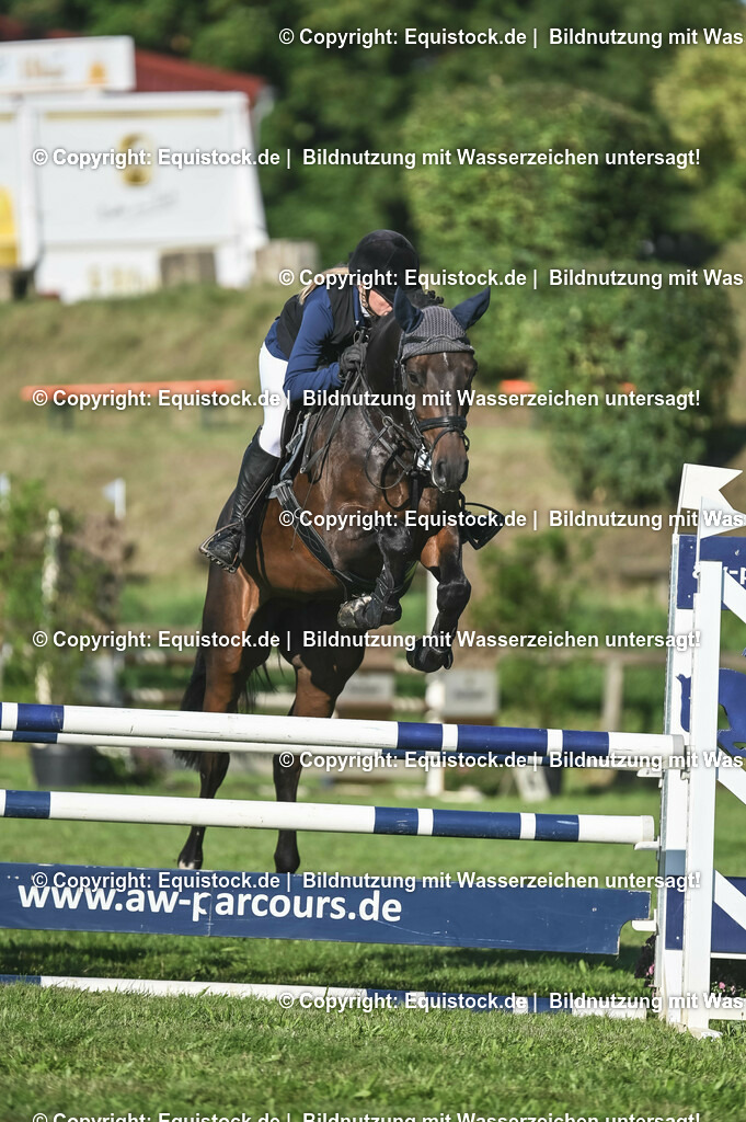 20230908_14-15_Springpferde-A_0051 | equistock