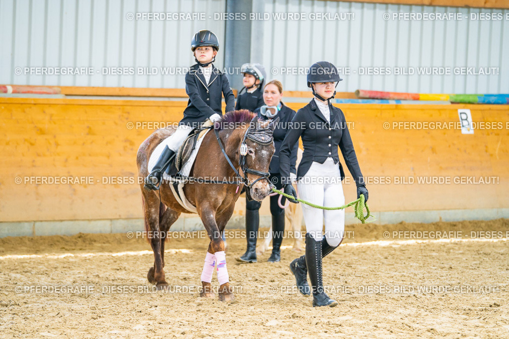 DSC00406 | Pferdegrafie