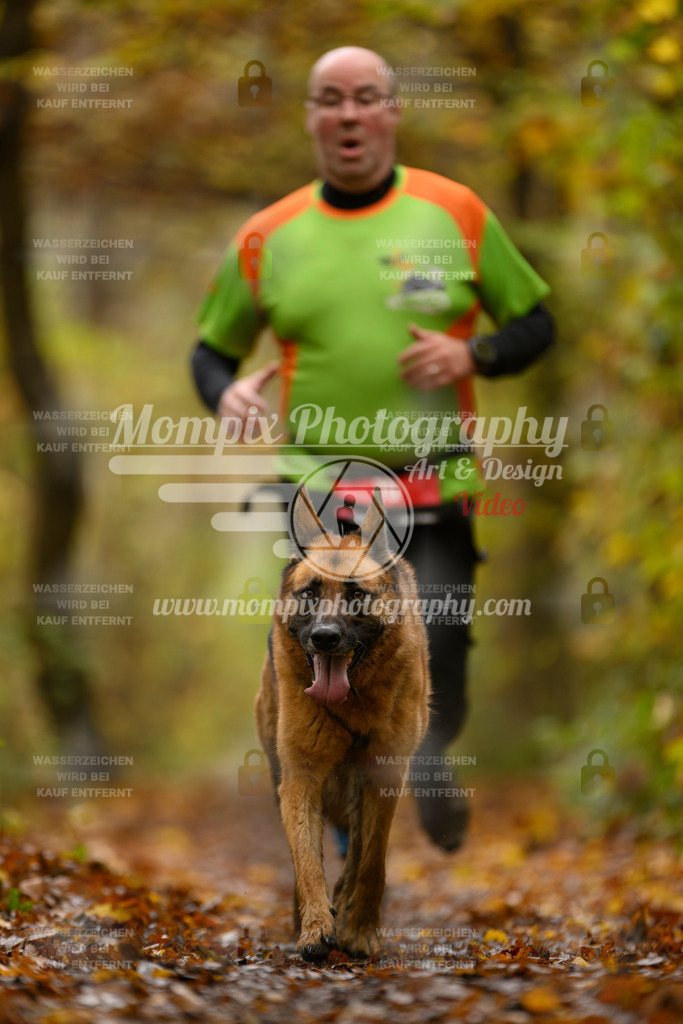 MompixPhotography_CD7S_DI_CCL-68 | mompixphotography